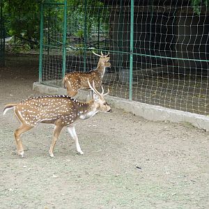 Skopje Zoo 26.9.15