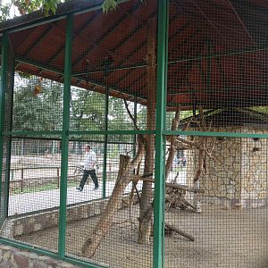 Skopje Zoo 26.9.15