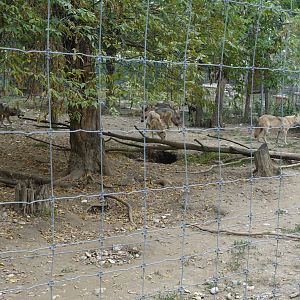 Skopje Zoo 26.9.15