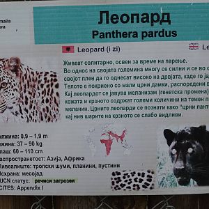 Skopje Zoo 26.9.15
