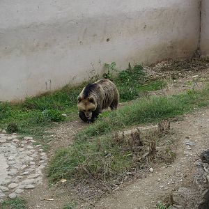 Skopje Zoo 26.9.15