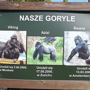 Gorilla Sign