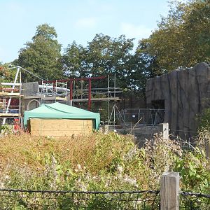 Land of the Lions Progress - 04/10/2015