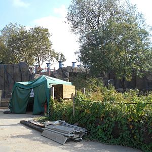 Land of the Lions Progress - 04/10/2015