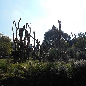 Gorilla Kingdom refurbishment - 04/10/2015