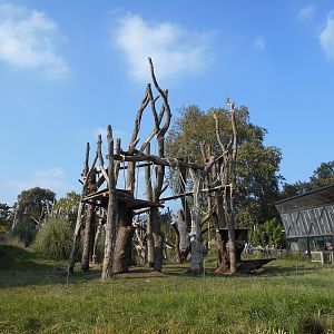 Gorilla Kingdom refurbishment - 04/10/2015