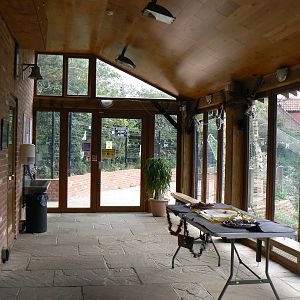 Part Of The Lemur Area