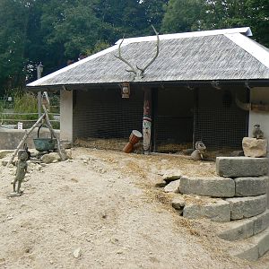 Part Of Meerkat Enclosure