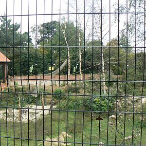 View Of Lemur Enclosure