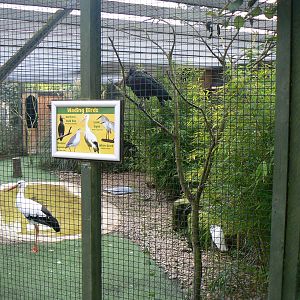 View Of Wader Aviary