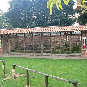 View Of Bird Show Arena and Parrot Aviary