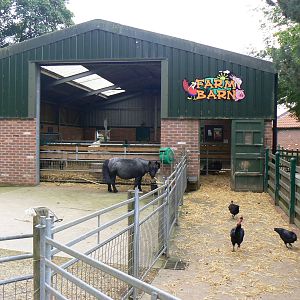 View Of The Imaginitvely Named Farm Barn