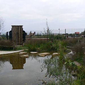 View Of The Not Very Wild Wilderness Walkthrough