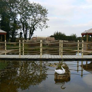 View Of The Not So Wild Wilderness Walkthrough