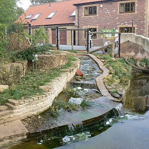 View Of ASCO Enclosure