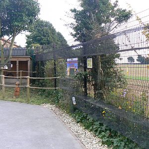 Part Of The Chipmunk Enclosure