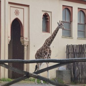 Bioparco di Roma 5.4.15