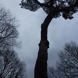 Bioparco di Roma 5.4.15