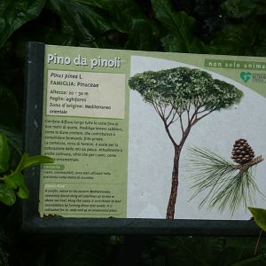 Bioparco di Roma 5.4.15