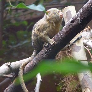 Bioparco di Roma 5.4.15