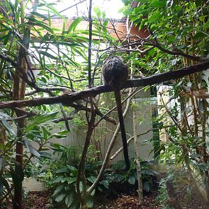 Bioparco di Roma 5.4.15