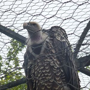 Bioparco di Roma 5.4.15