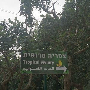 Tropical Aviary 23.11.13