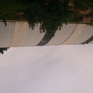 Tropical Aviary 23.11.13