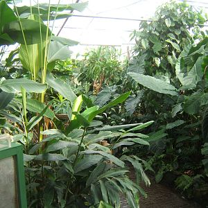 View inside first greenhouse