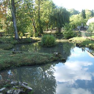 View of Capybara enclosure