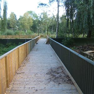 View towards future Wetlands walk