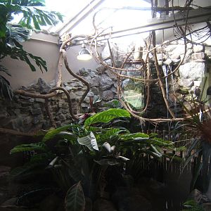 View of Tropical Finch Aviary