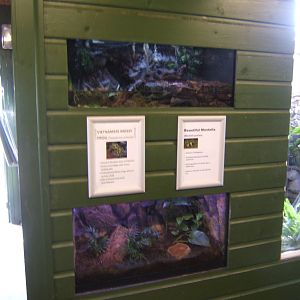 View inside Tropical/Reptile House