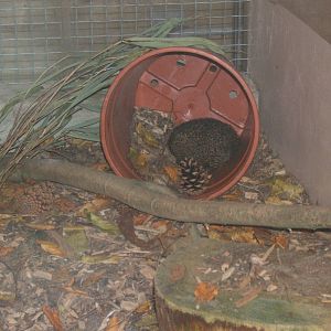 Hemsley Conservation Centre