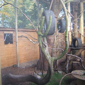 Hemsley Conservation Centre