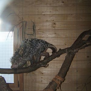 Hemsley Conservation Centre