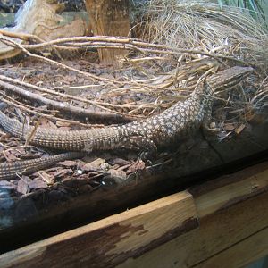 Hemsley Conservation Centre