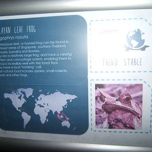 Hemsley Conservation Centre