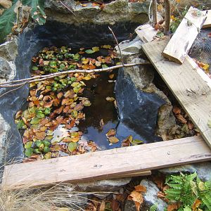 Hemsley Conservation Centre