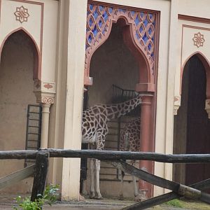 Bioparco di Roma 5.4.15