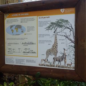 Bioparco di Roma 5.4.15