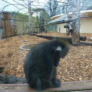 Bioparco di Roma 5.4.15