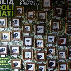 Bioparco di Roma 5.4.15