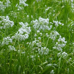 Bioparco di Roma 5.4.15