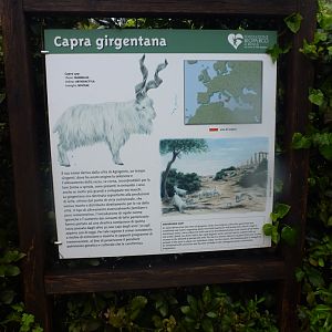 Bioparco di Roma 5.4.15