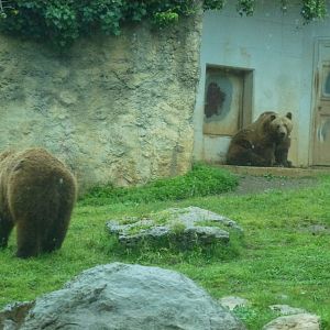 Bioparco di Roma 5.4.15