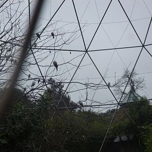 Bioparco di Roma 5.4.15