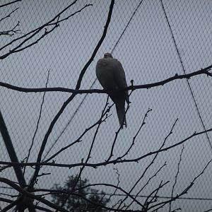 Bioparco di Roma 5.4.15