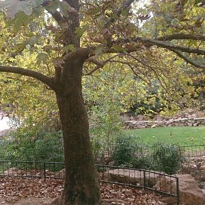 Jerusalem Biblical Zoo 23.11.13