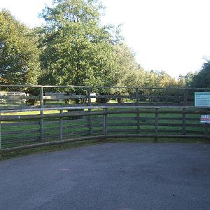 View of Bongo enclosure